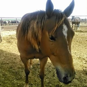 Meet your Posher, Jim